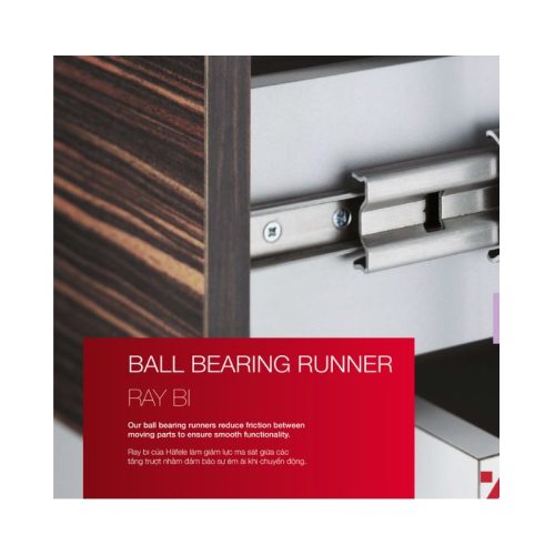 Ảnh thực tế của Ray bi giảm chấn 500mm Hafele 494.02.065